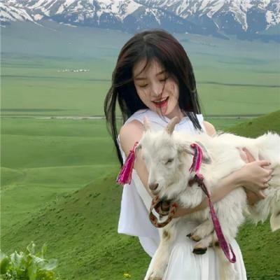 上海二十四小时